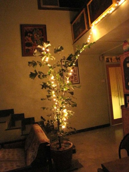 Have your own Diwali tree!